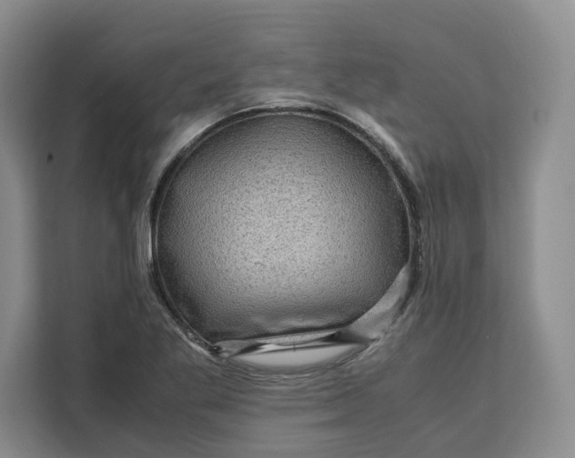 X0000111121269200907141143