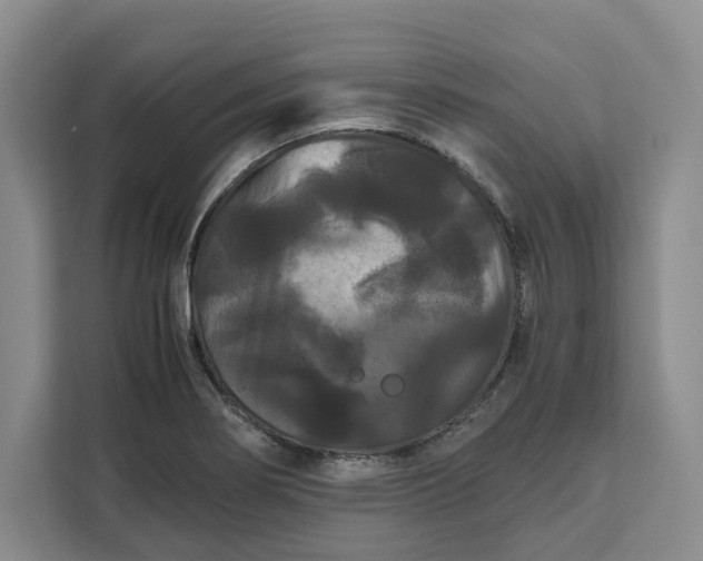 X0000111121274200907141143