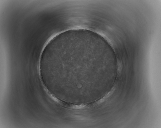 X0000111121278200907141143