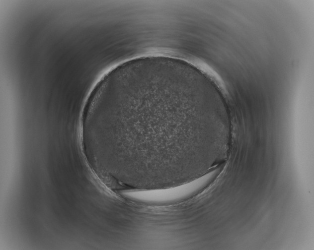 X0000111121280200907141143