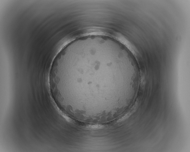 X0000111121282200907141143