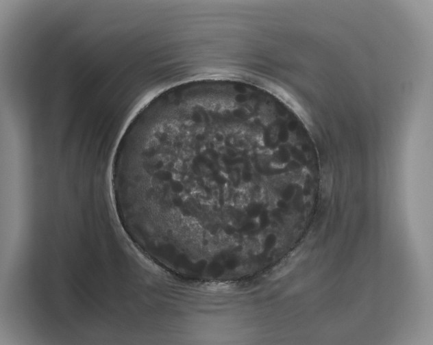 X0000111121283200907141143