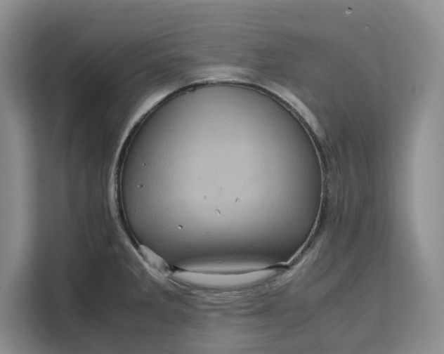 X0000111121285200907141143