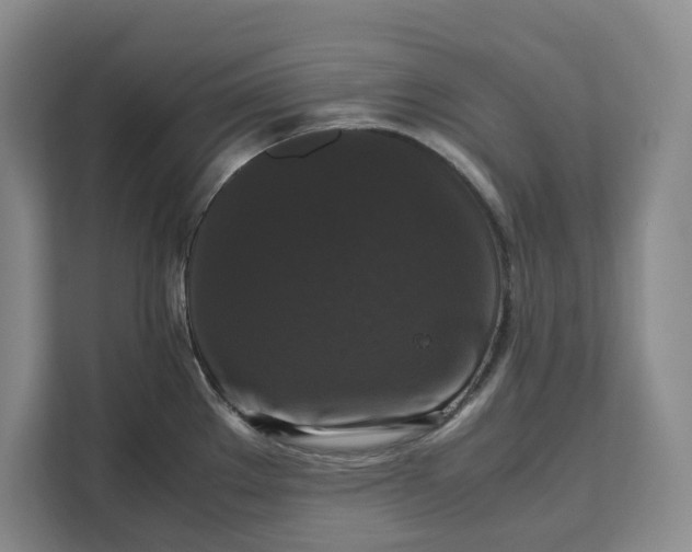 X0000111121289200907141143