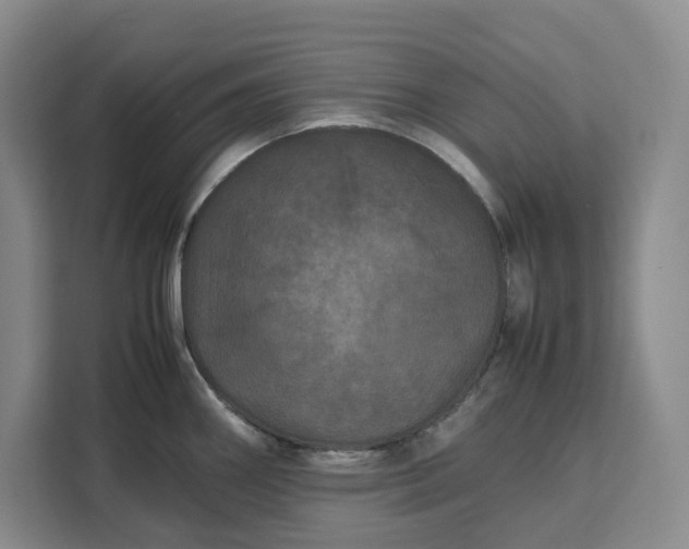 X0000111121290200907141143