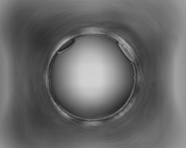 X0000111121293200907141143