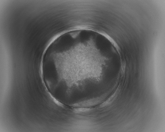 X0000111121294200907141143