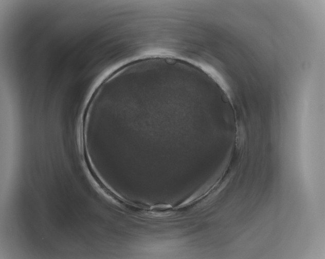 X0000111121295200907141143