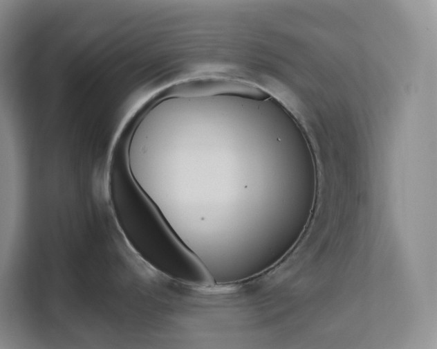 X0000111121296200907141143