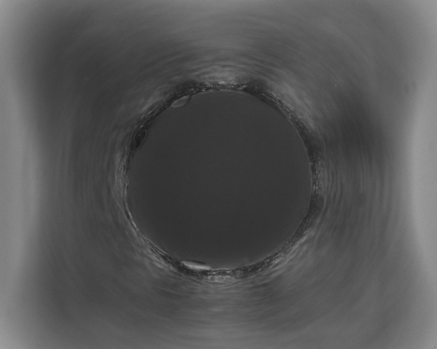 X0000111121297200907141142