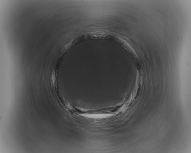 X0000111121298200907141142