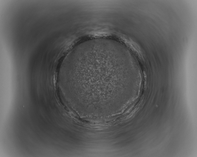 X0000111121300200907141142