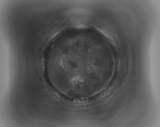 X0000111121301200907141143