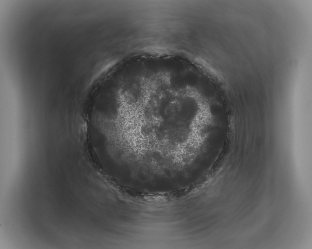 X0000111121302200907141143