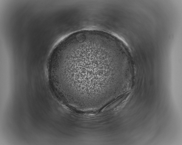 X0000111121311200907141143