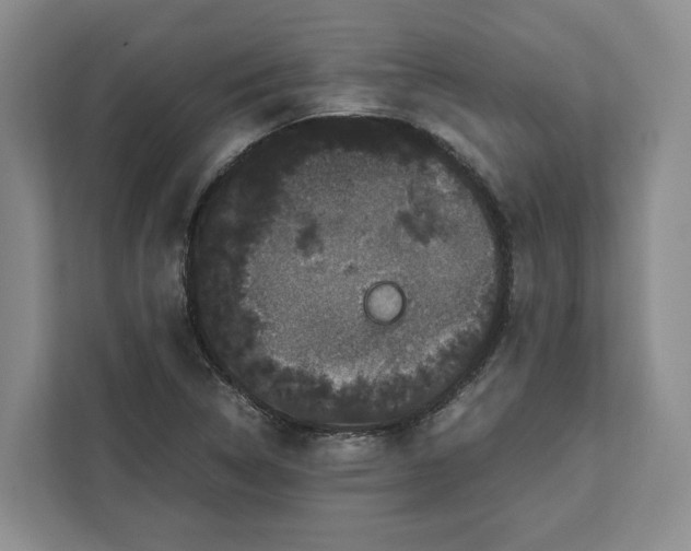 X0000111121314200907141143