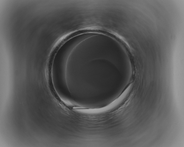 X0000111121319200907141143