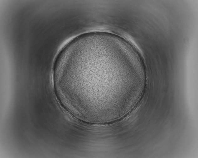 X0000111121320200907141143