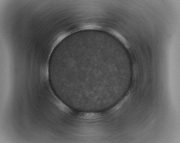 X0000111121322200907141143