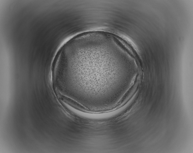 X0000111121324200907141143