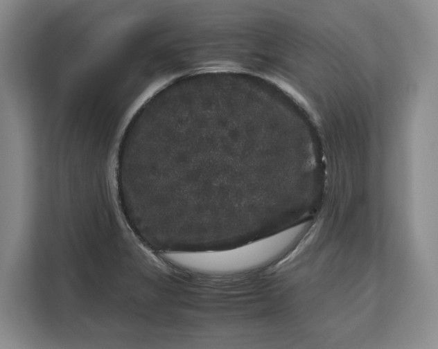 X0000111121325200907141143