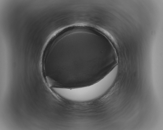 X0000111121327200907141143