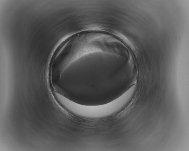 X0000111121331200907141143