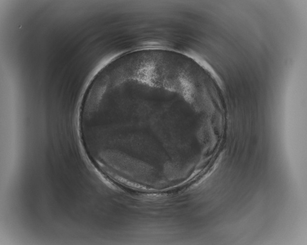 X0000111121333200907141143