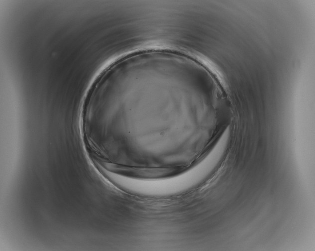 X0000111121334200907141143