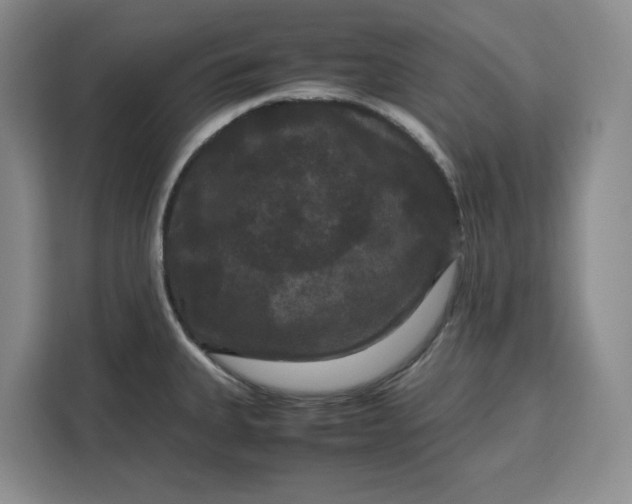 X0000111121335200907141143