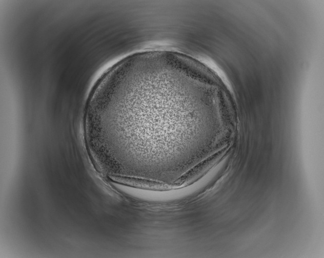 X0000111121336200907141143