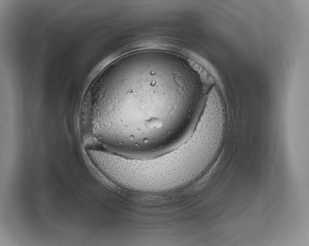 X0000111121338200907141143