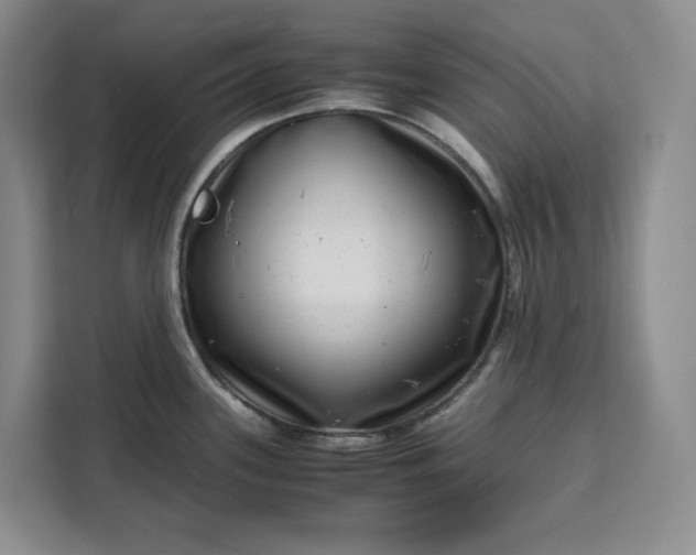 X0000111121339200907141143