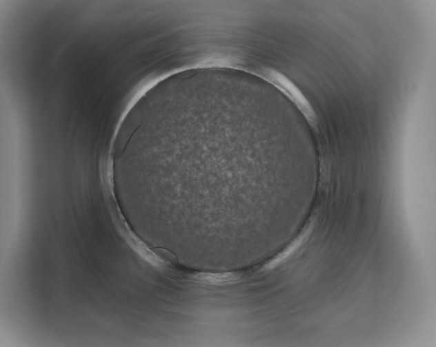 X0000111121340200907141143