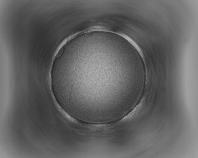 X0000111121341200907141143