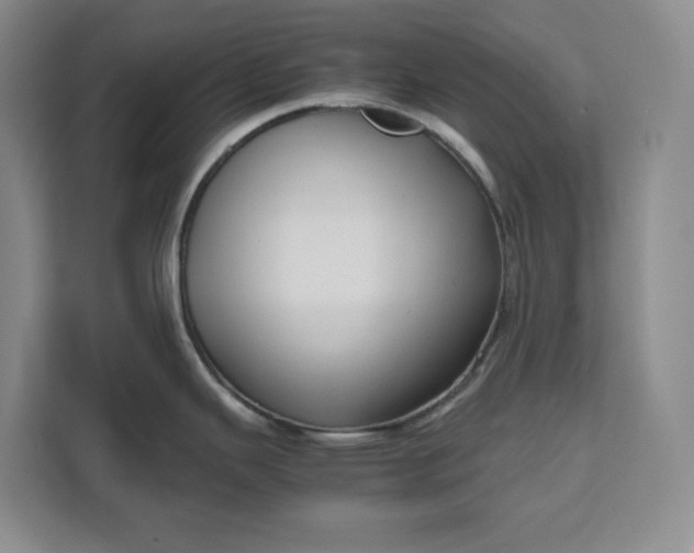 X0000111121343200907141143