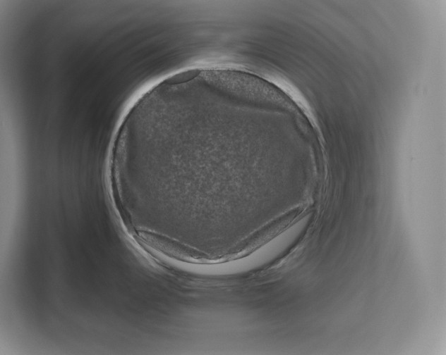 X0000111121344200907141143