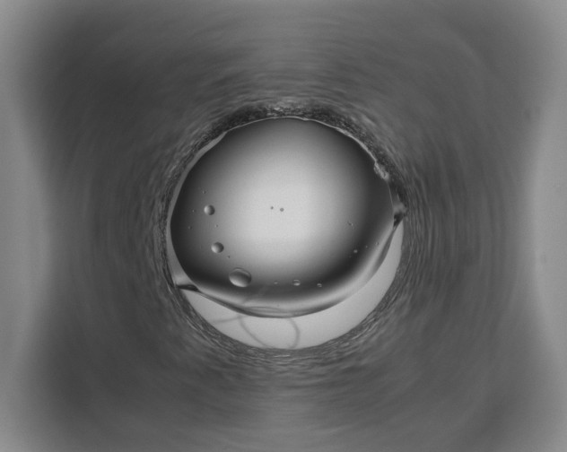 X0000111121345200907141142