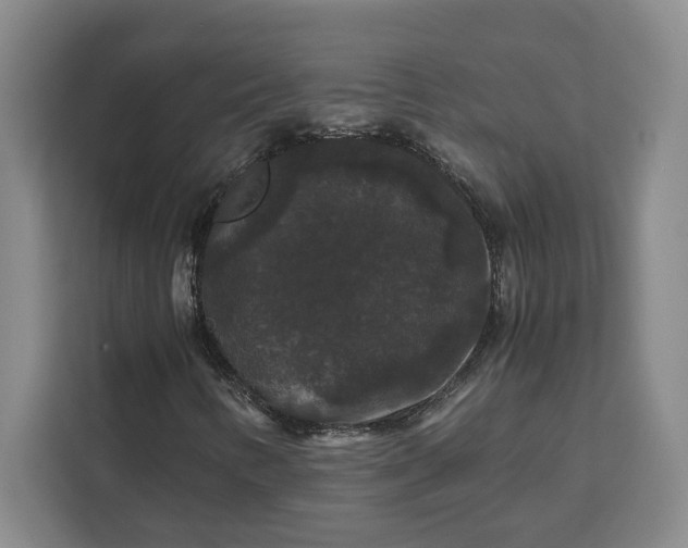 X0000111121346200907141142