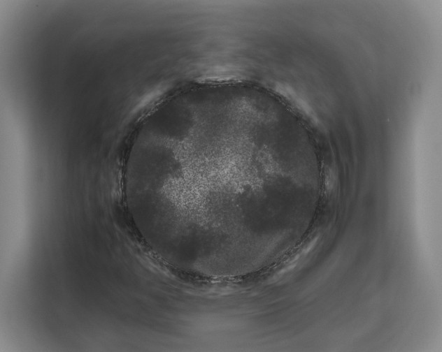 X0000111121350200907141142