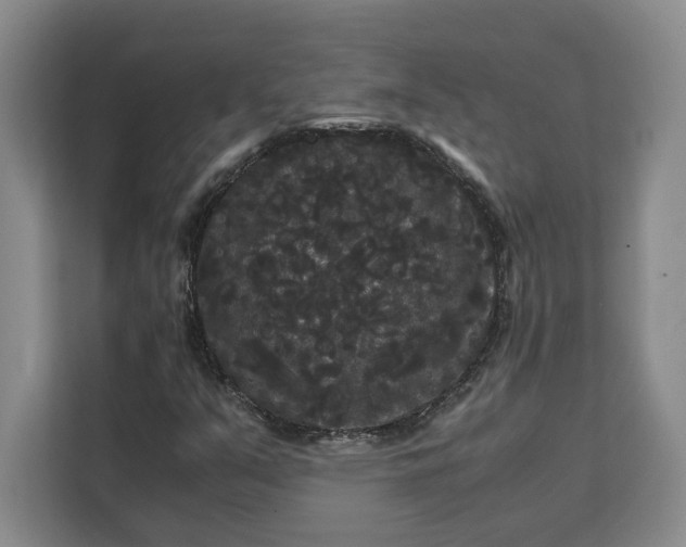 X0000111121351200907141142