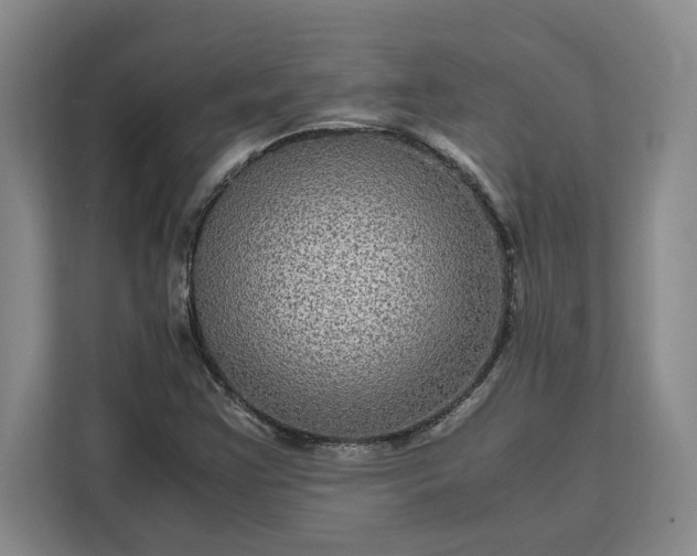 X0000111121355200907141142