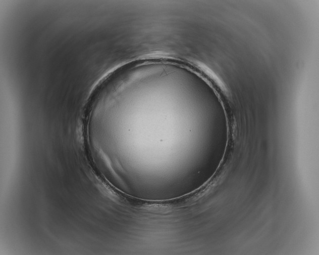 X0000111121356200907141142