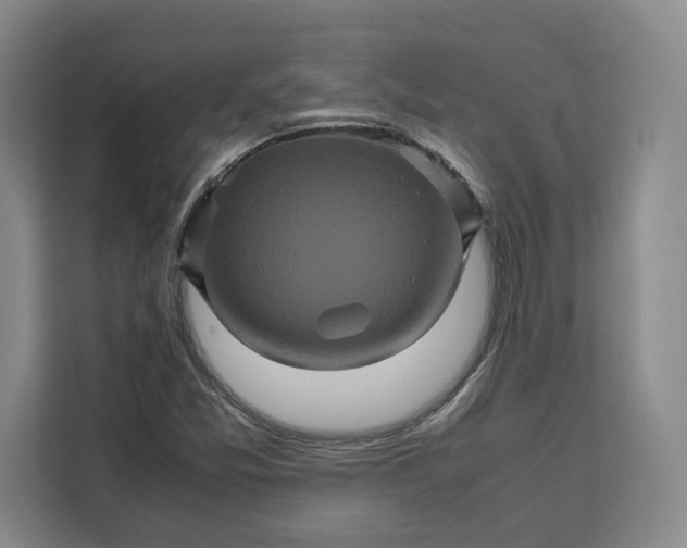 X0000111121357200907141142