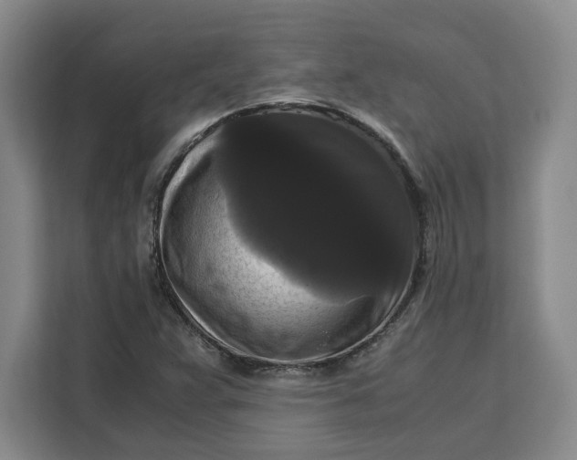 X0000111121359200907141142