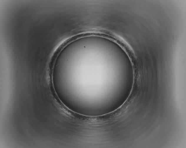 X0000111121360200907141142