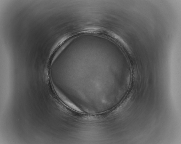 X0000111121362200907141142