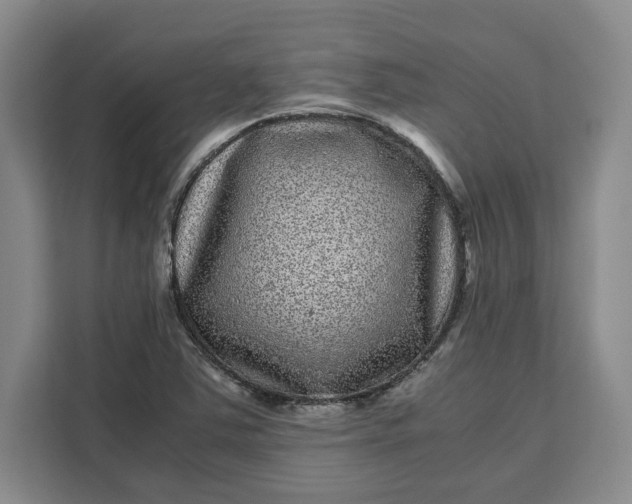 X0000111121363200907141142