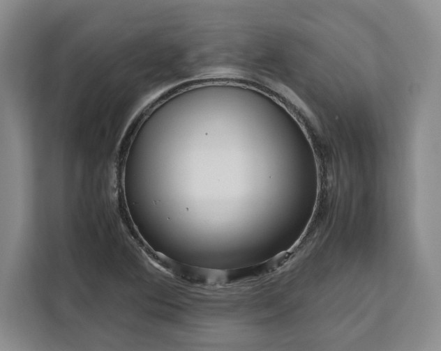 X0000111121364200907141142