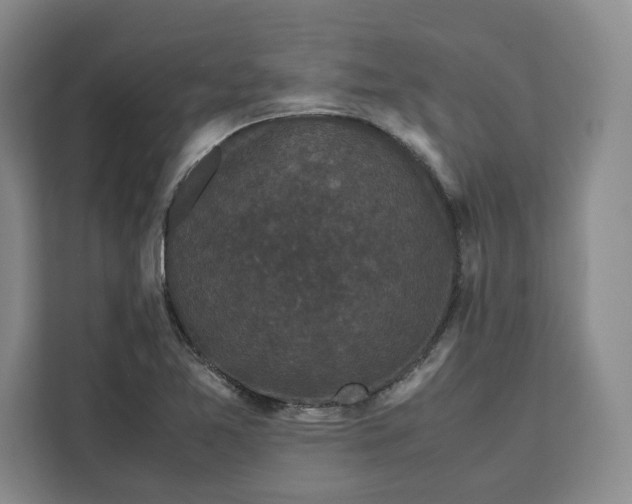 X0000111121365200907141142